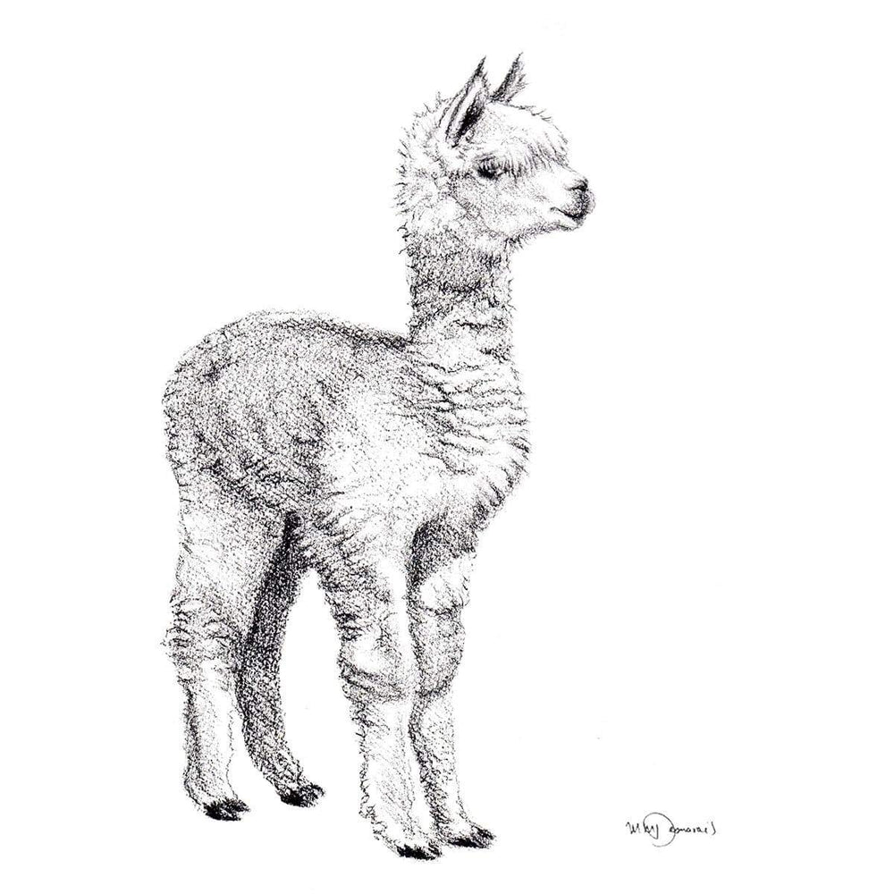 Adorable Alpaca - LE NID atelier