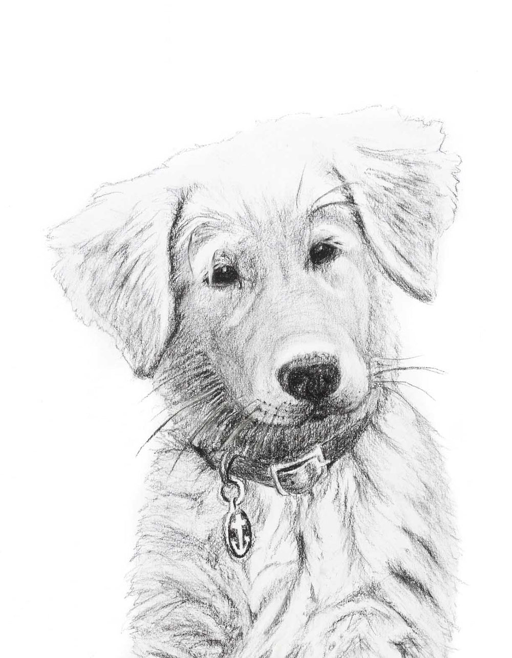 Adorable Golden Retriever - LE NID atelier