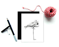 Beautiful Pink Flamingo Greeting Card