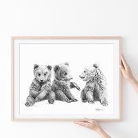 3 bébé Oursons  - Affiche - animaux de la forêt