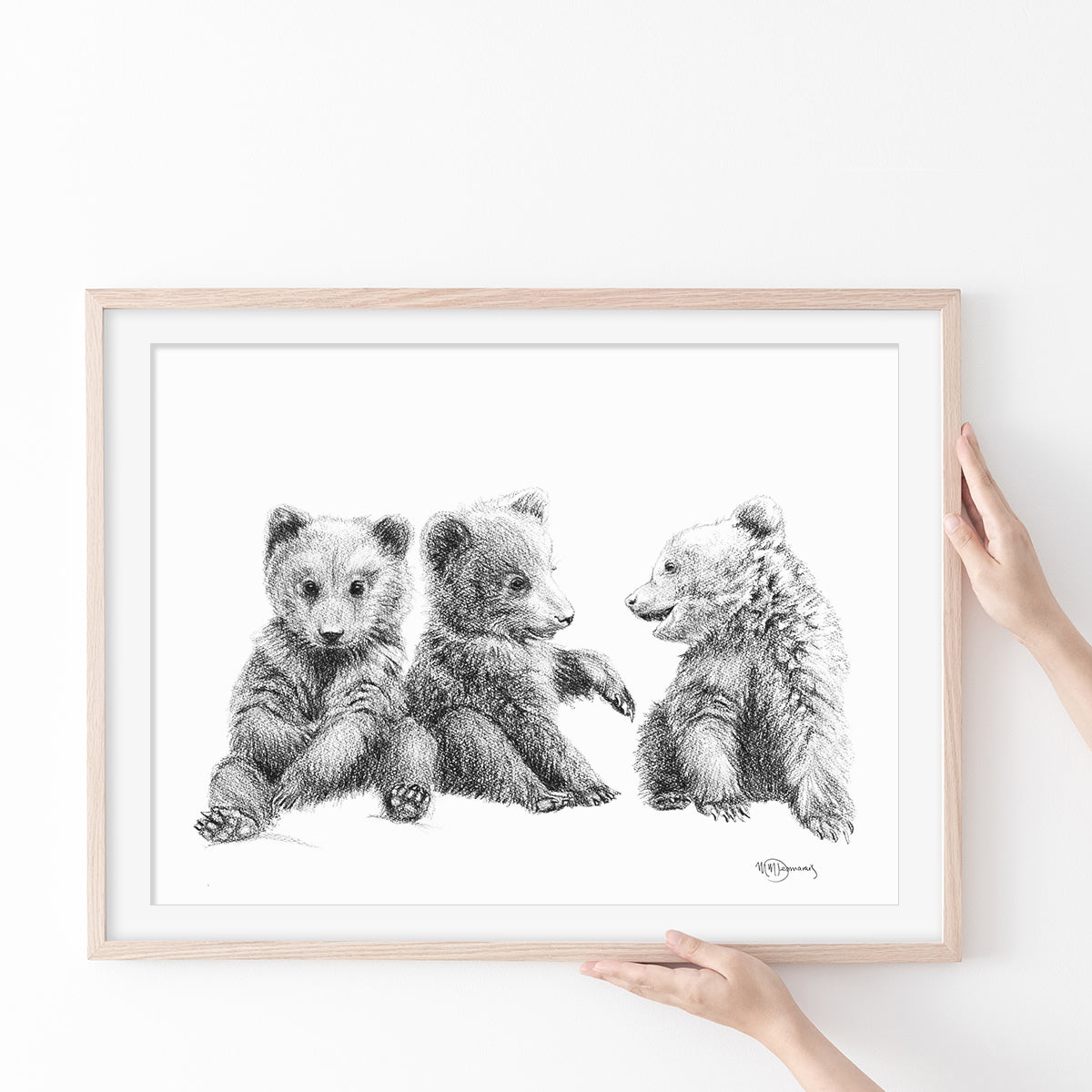 3 bébé Oursons  - illustration