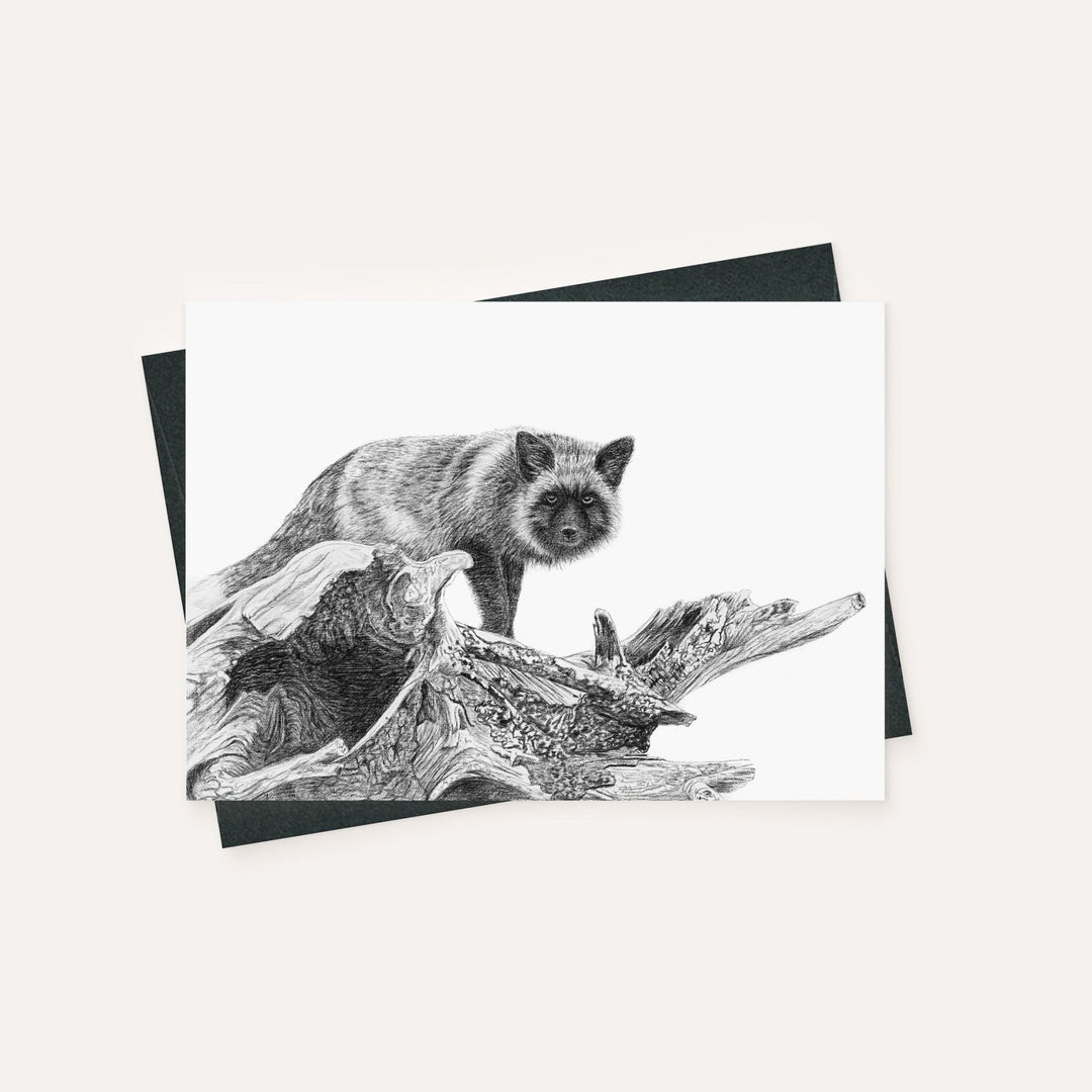 Complete NEW Boreal Charcoal 2 Collection - 6 Greeting Cards Bundle - LE NID atelier