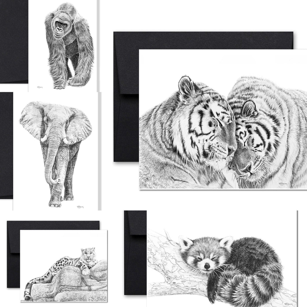 Complete Zoo Greeting Card Collection - 25 % of profit go to La Fondation du Zoo de Granby - LE NID atelier