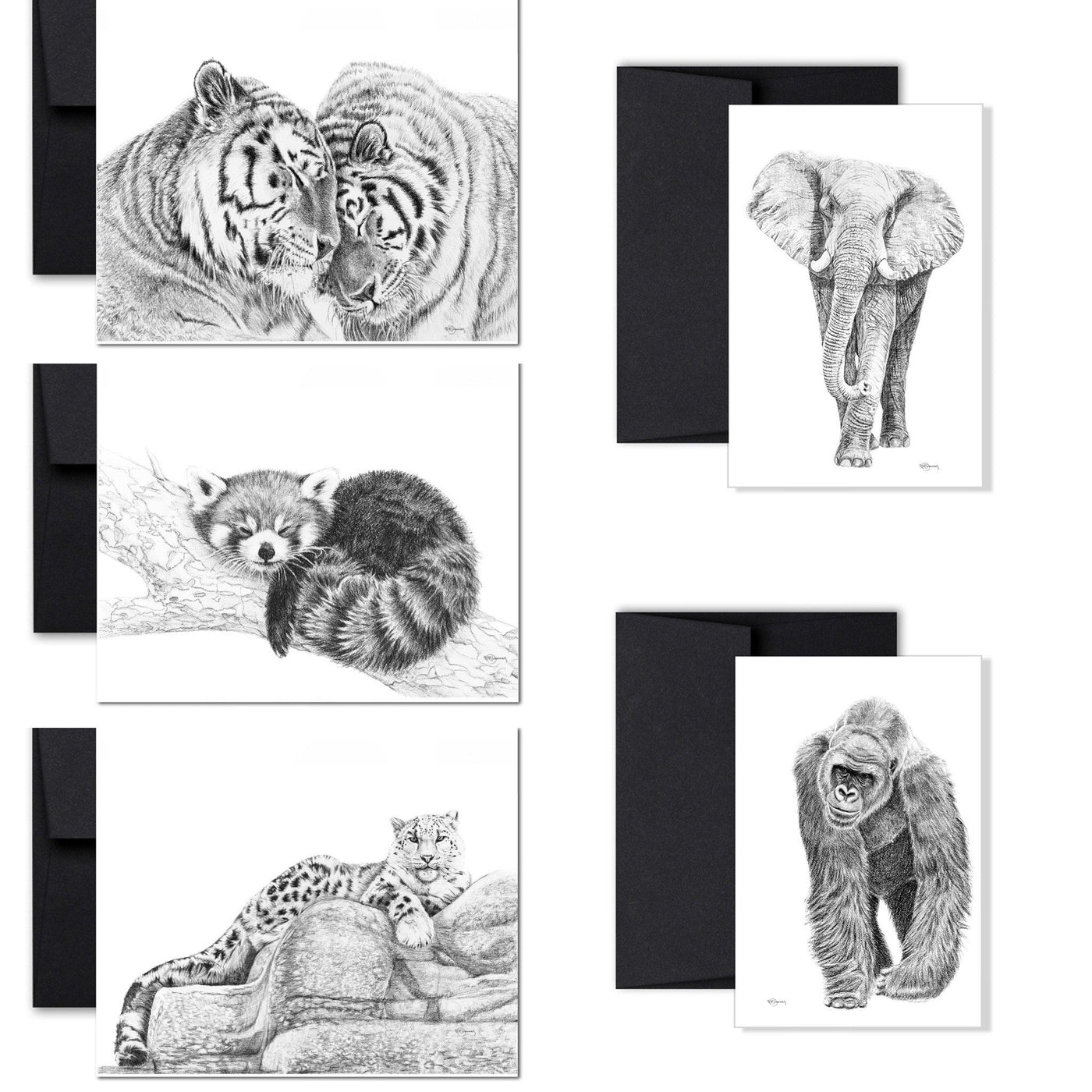 Complete Zoo Greeting Card Collection - 25 % of profit go to La Fondation du Zoo de Granby - LE NID atelier
