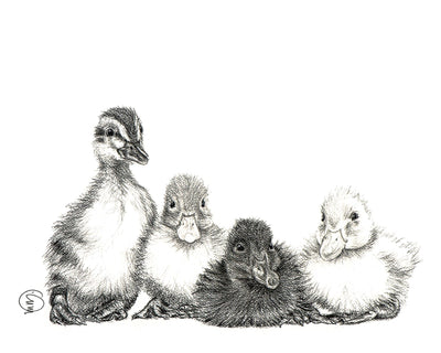 Cute Baby Ducklings - LE NID atelier