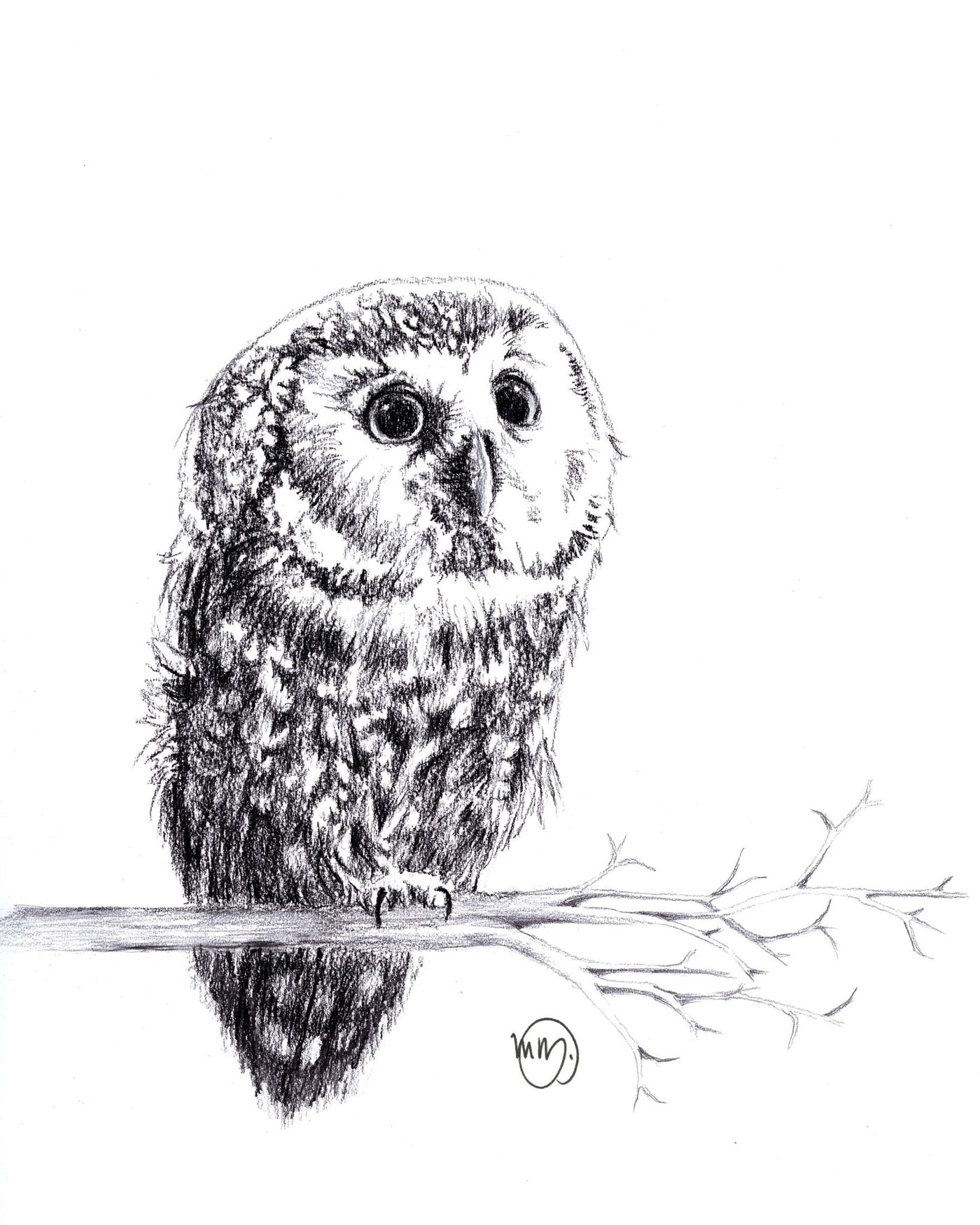 Cute Baby Owl - LE NID atelier