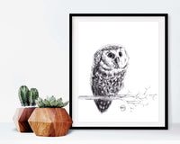Cute Baby Owl - Black and White Nursery Wildlife deco Art Print