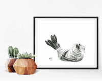 Adorable bébé phoque - affiche