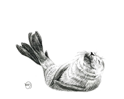 Cute Baby Seal Greeting Card - LE NID atelier
