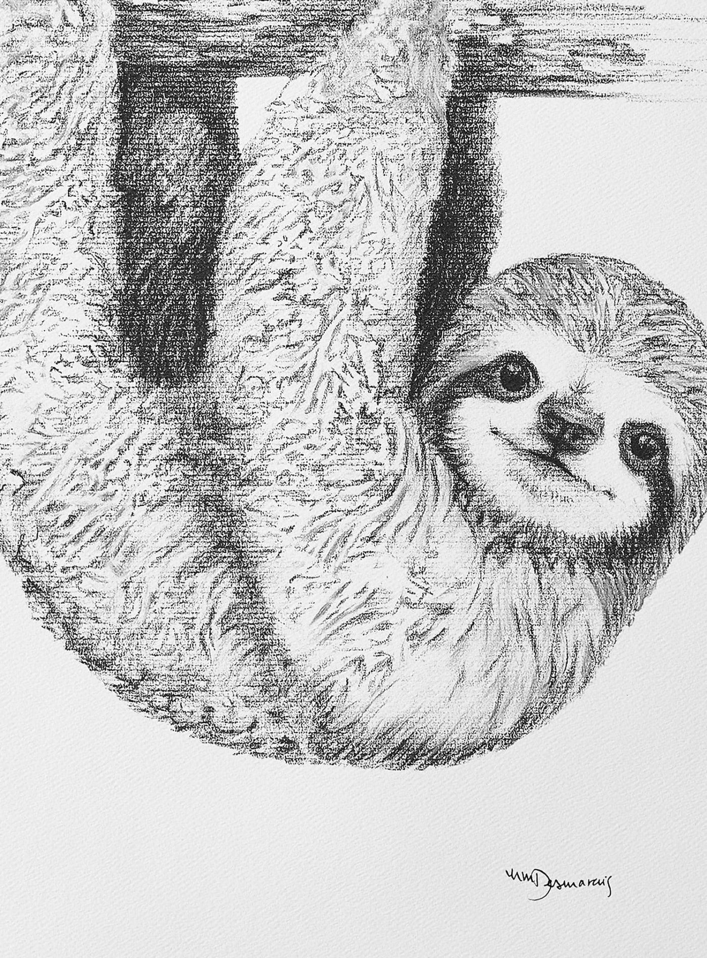Cute Baby Sloth - LE NID atelier