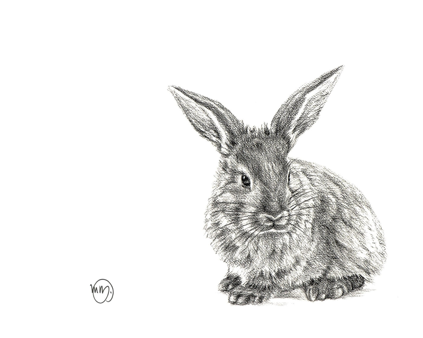Rabbit, 8x10