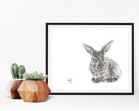 Adorable lapin - affiche - cadre déco enfant