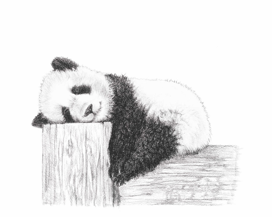 Cute sleeping Panda - LE NID atelier