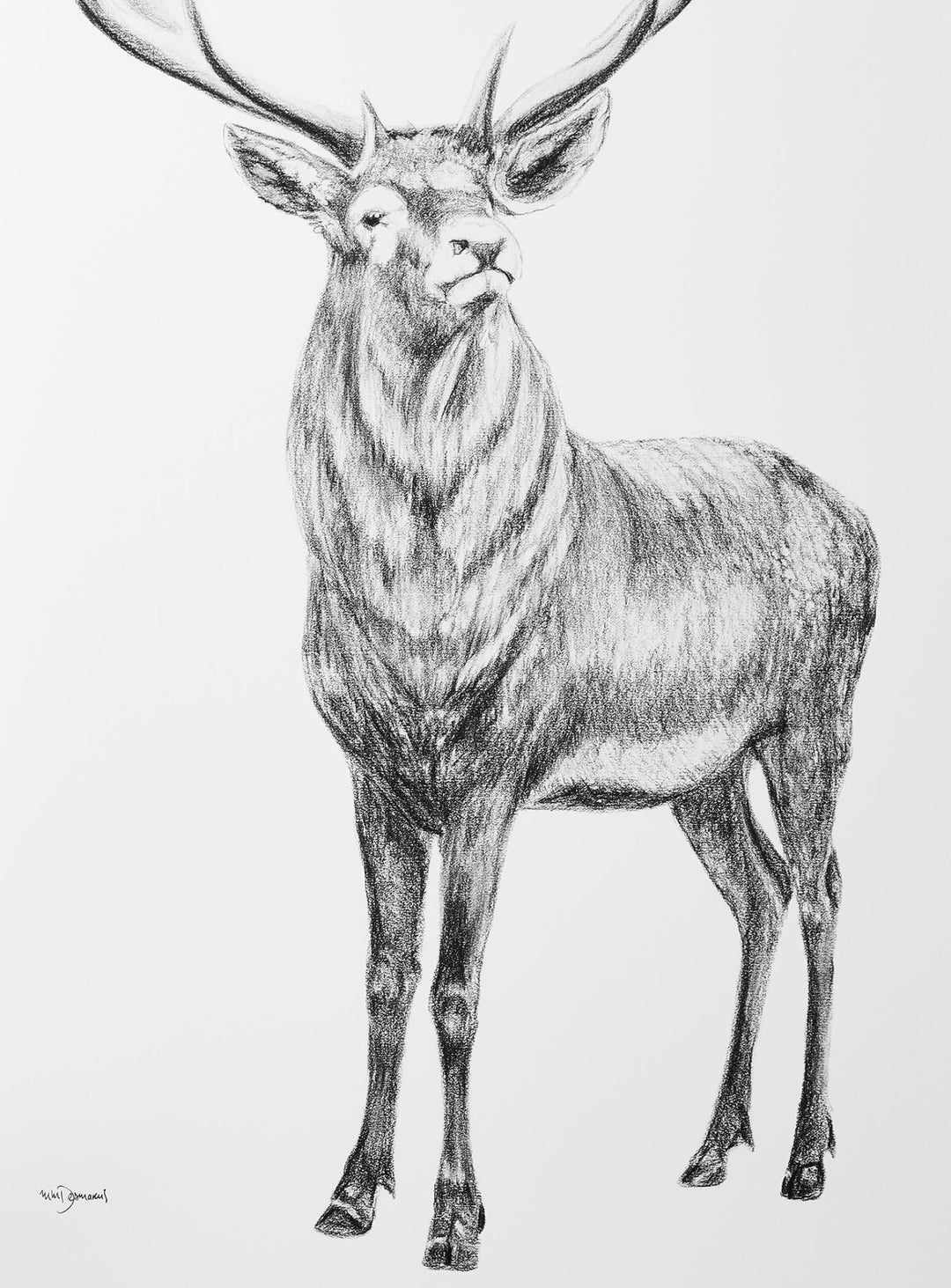 Deer with heart shaped antlers - LE NID atelier