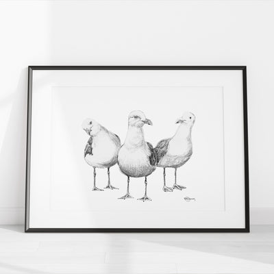 Funny Seagulls - illustration - LE NID atelier