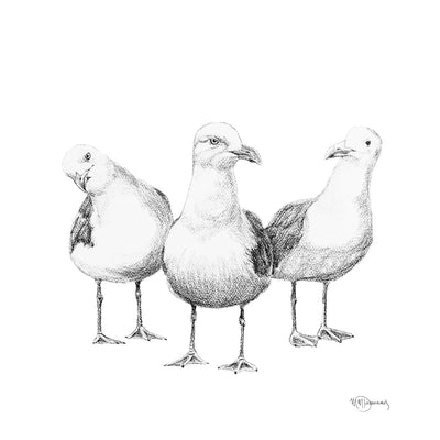 Funny Seagulls - illustration - LE NID atelier