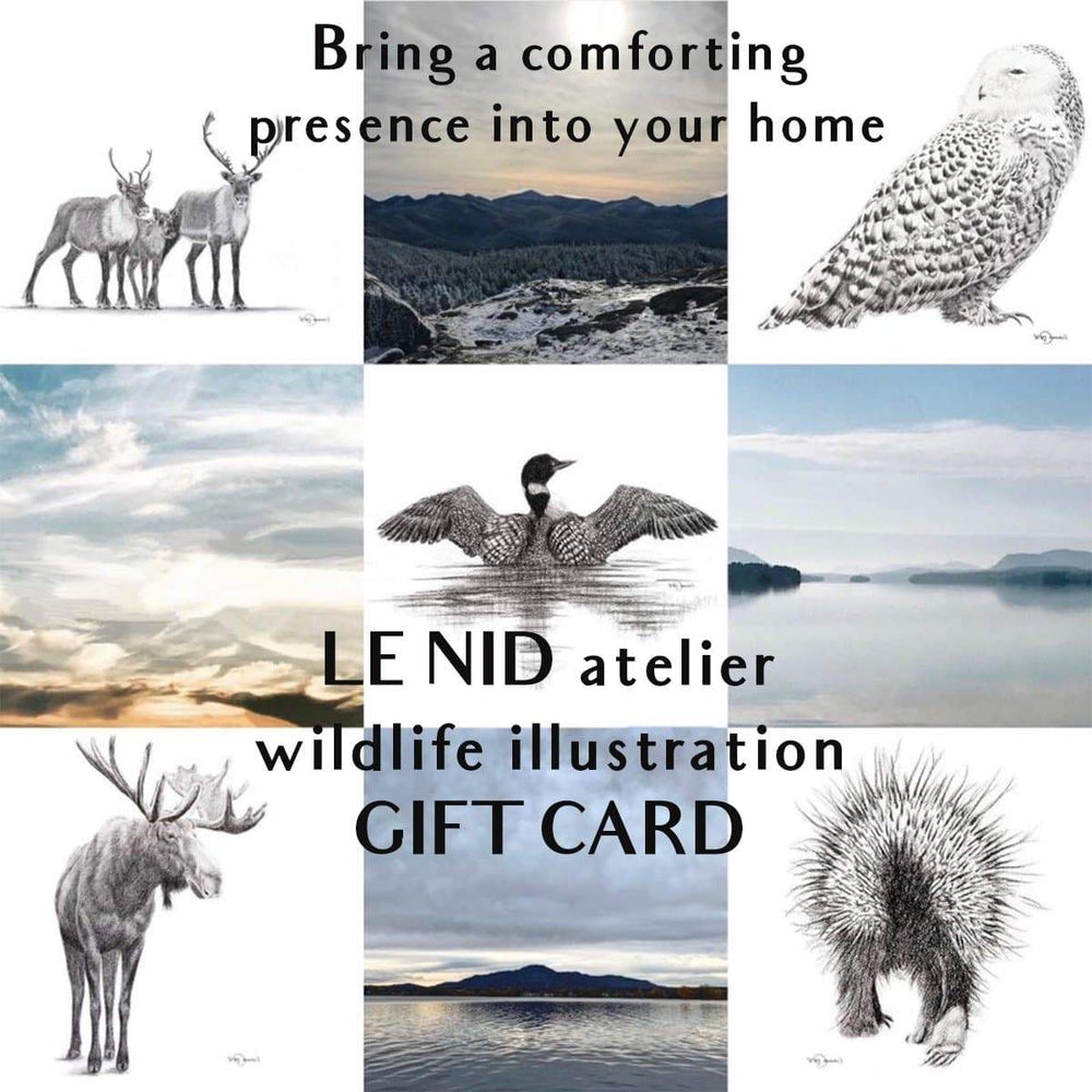 Gift Card - LE NID atelier