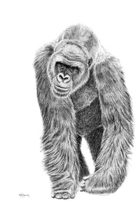 Gorille - cadre déco animaux noir et blanc