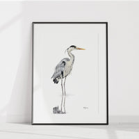 Grand Héron bleu qui marche sur l'eau No 1 - Affiche - Couleur