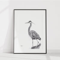 Grand Héron Bleu qui marche sur l'eau No 2 - affiche - noir et blanc