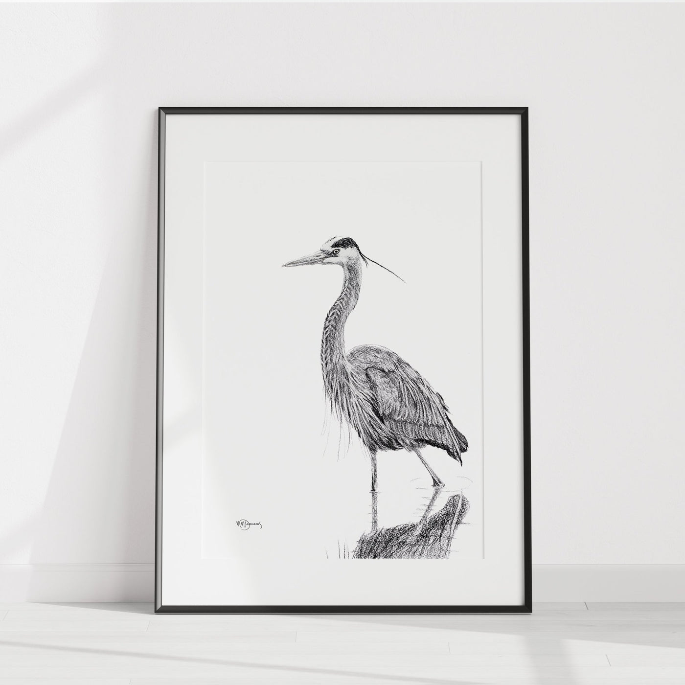 Great Blue Heron walking in water NO 2 - illustration - LE NID atelier
