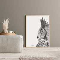 Great Horned Owl - Black and White Wildlife Art Print