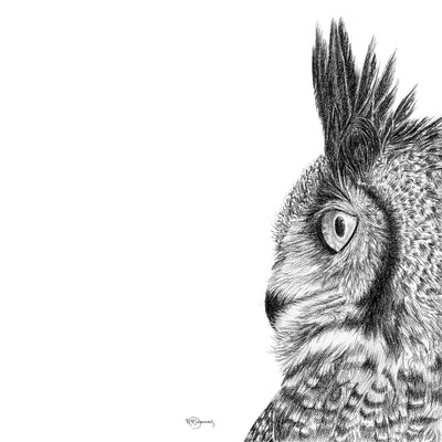 Great horned owl - greeting card - LE NID atelier