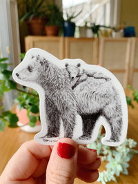 Grizzly avec ourson au dos Autocollant pour bouteille d'eau, agenda ou ordinateur
