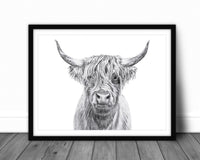Portrait Vache Highland - affiche - cadre décoratif animaux