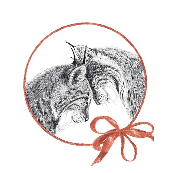 Lynx in Love - Valentines day Greeting Card - LE NID atelier