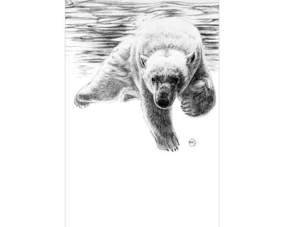 Majestic Polar Bear Swimming - LE NID atelier