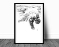 Ours Polaire qui Nage - affiche