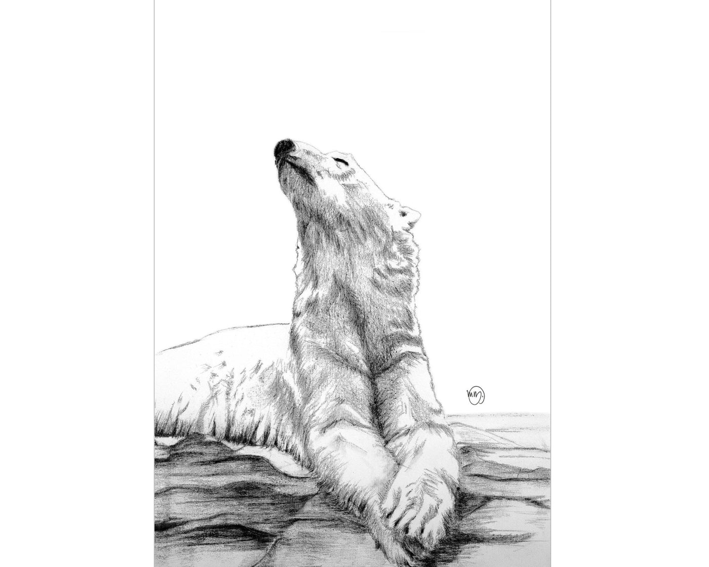 Majestic Polar Bear Taking a Sunbath Print - LE NID atelier
