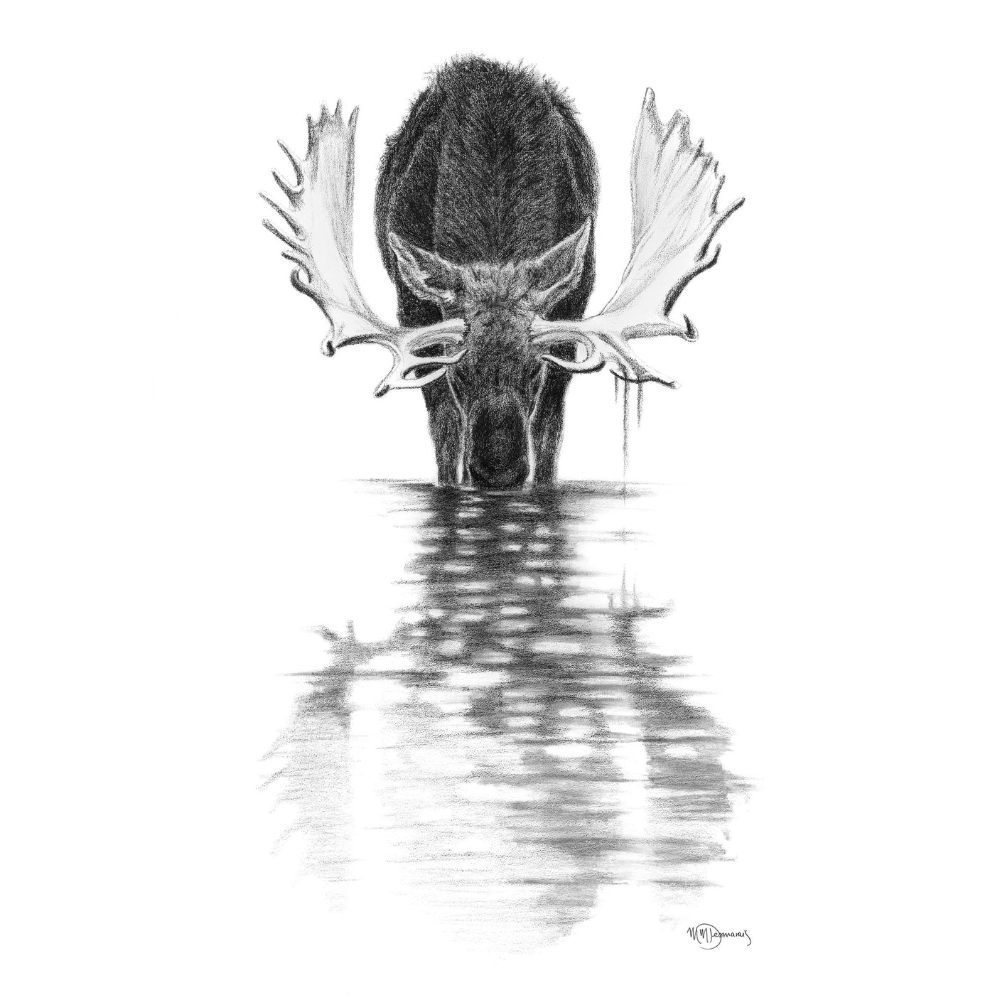 Moose in calm water - LE NID atelier