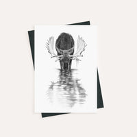 Orignal dans l'eau calme - carte de souhaits