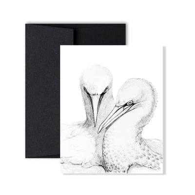 Northern Gannet Greeting Card - LE NID atelier