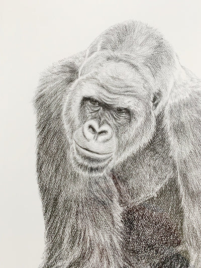 ORIGINAL ARTWORK - Gorilla - From the Zoo de Granby Collaboration - LE NID atelier