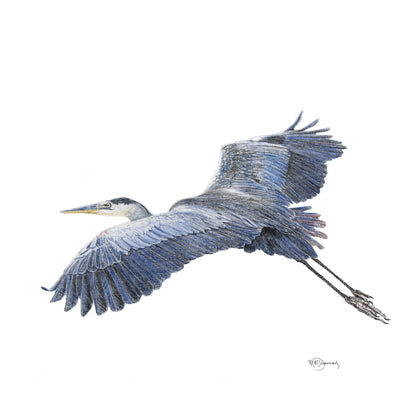 Original Artwork Great Blue Heron - LE NID atelier