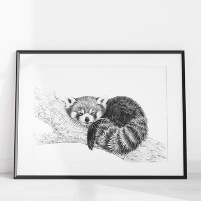 ORIGINAL ARTWORK - Red Panda - From the Zoo de Granby Collaboration - LE NID atelier