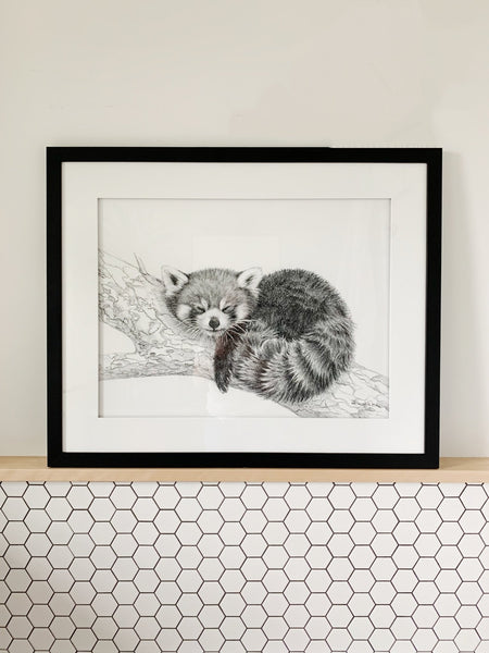 original-artwork-red-panda-