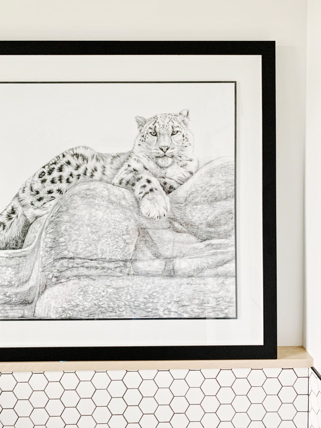 ORIGINAL ARTWORK - Snow leopard - From the Zoo de Granby Collaboration - LE NID atelier