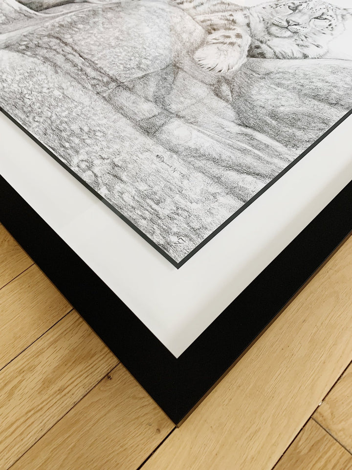 ORIGINAL ARTWORK - Snow leopard - From the Zoo de Granby Collaboration - LE NID atelier