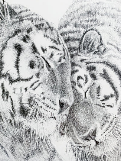 ORIGINAL ARTWORK - Tigers - Amur Tigers - From the Zoo de Granby Collaboration - LE NID atelier