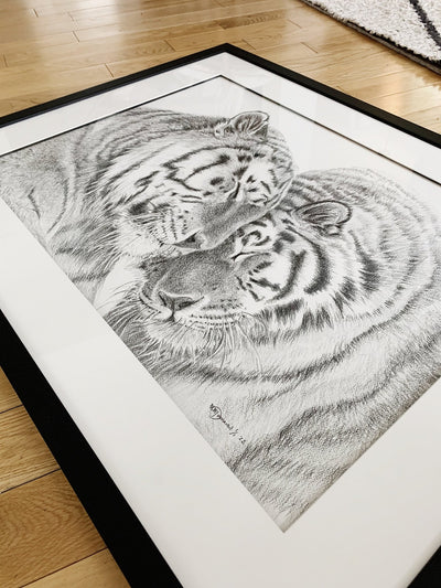 ORIGINAL ARTWORK - Tigers - Amur Tigers - From the Zoo de Granby Collaboration - LE NID atelier