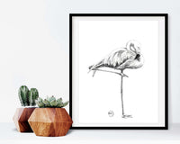 Flamant Rose - affiche