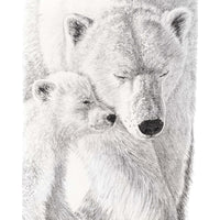 Maman Ours Polaire avec son petit - Affiche - animaux noir et blanc