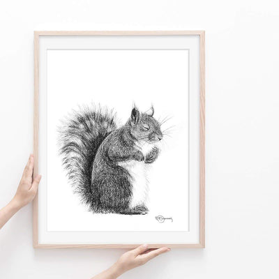 Sleeping Squirrel illustration - "Social Animal" Collection - LE NID atelier