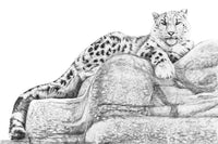 Léopard des neiges - affiche - cadre déco animaux noir et blanc