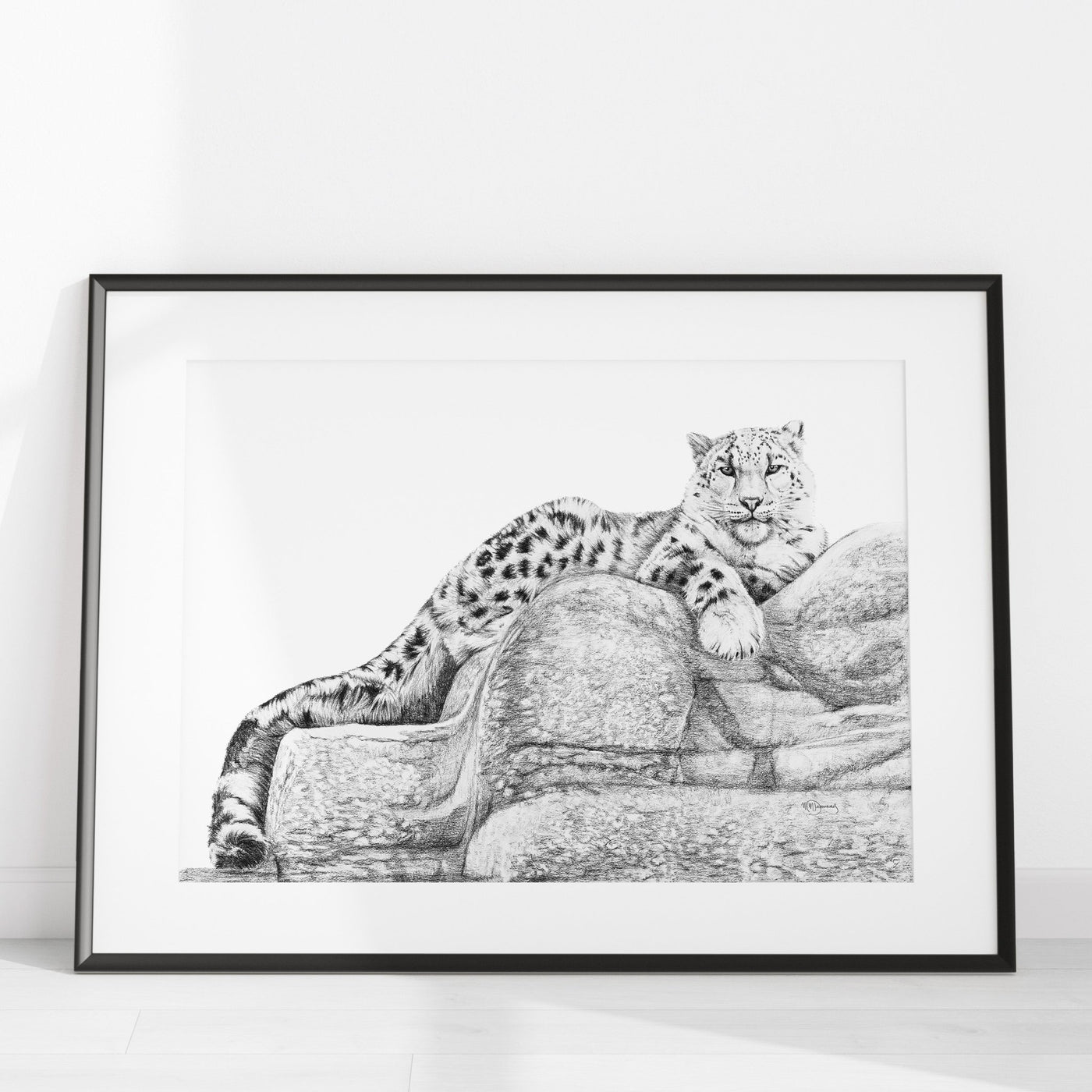 Snow Leopard illustration- 25% of Profit go to La Fondation du Zoo de Granby - LE NID atelier