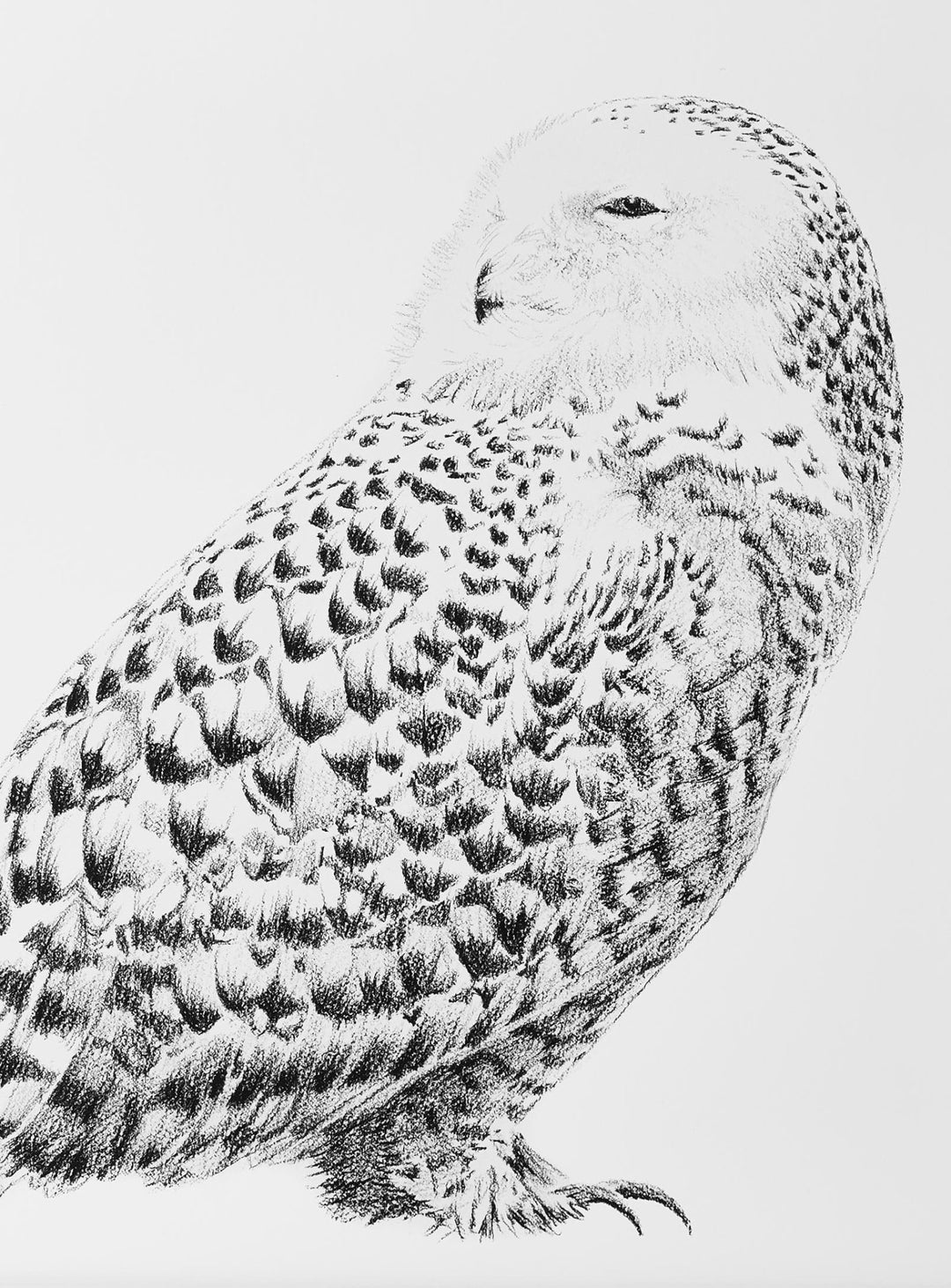 Snowy Owl - LE NID atelier